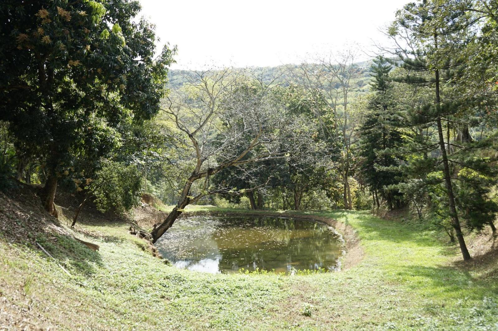 Tres Lagos Hotel ซานเฮโรนิโม ภายนอก รูปภาพ